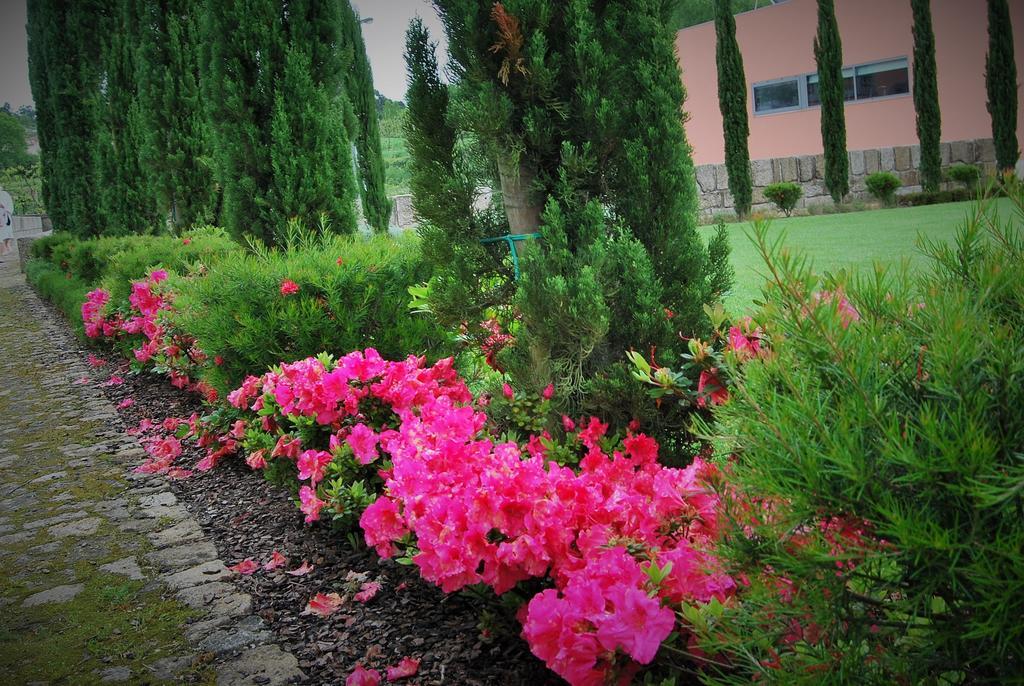 Hotel Quinta Da Cruz & Spa Oliveira  Luaran gambar